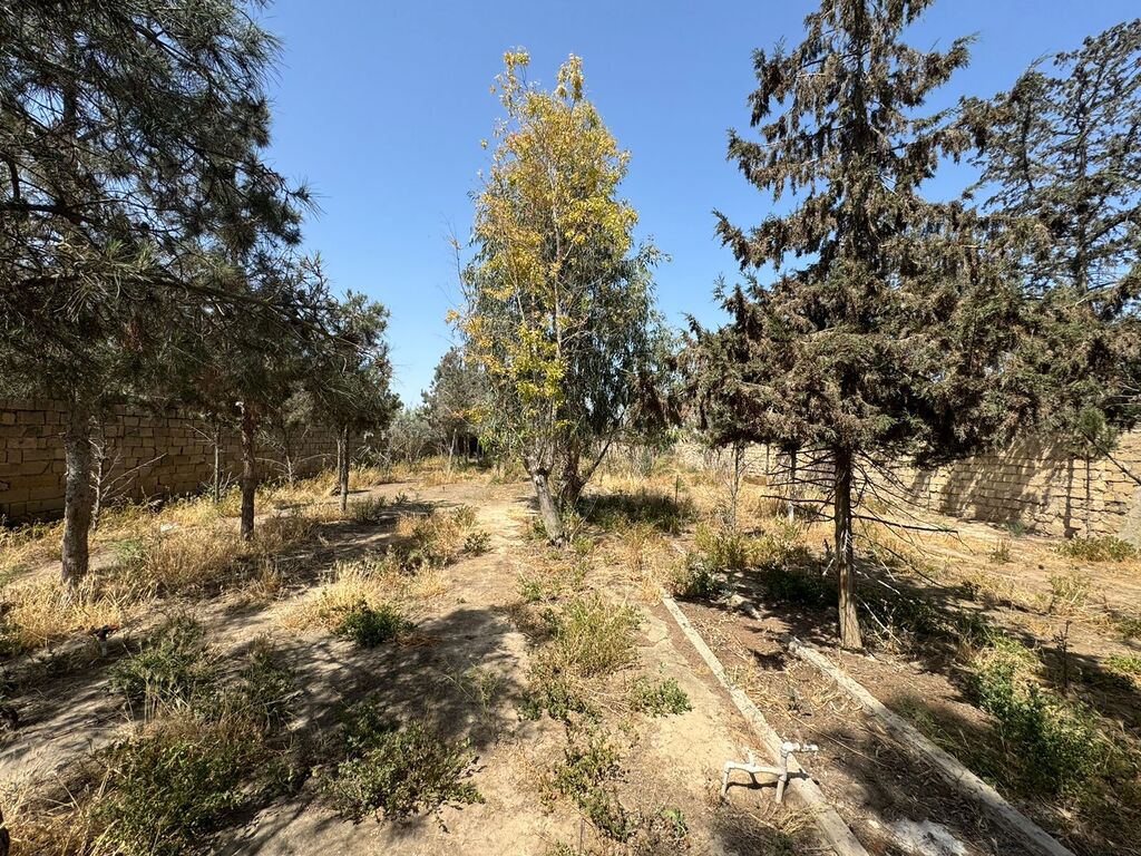 22 sot torpaq sahəsi, Şüvəlan qəs — Torpaq, Bakı (3)