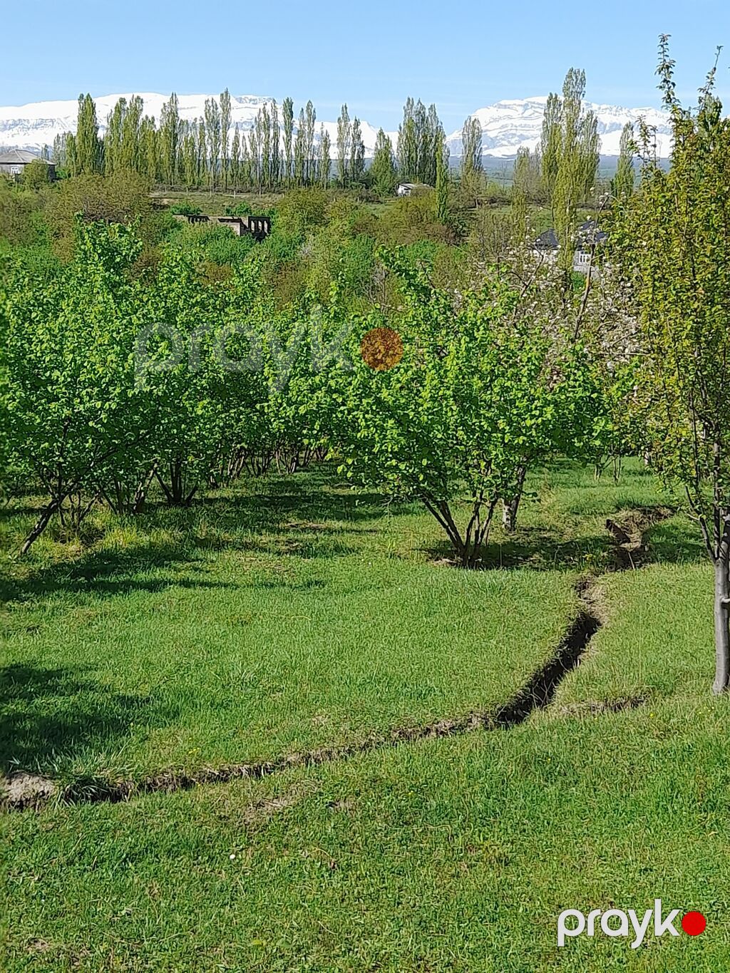 Qusarin kendi 10 km araligda panaramali yerdi deyerinden aṣagi — Qida məhsulları, Qusar (2)