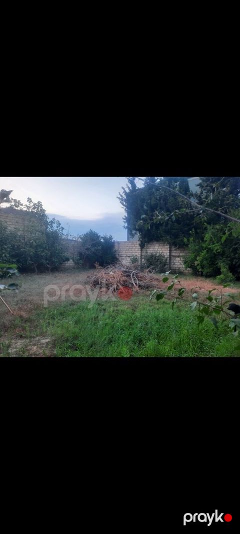 6 sot torpaq sahəsi, Görədil qəs