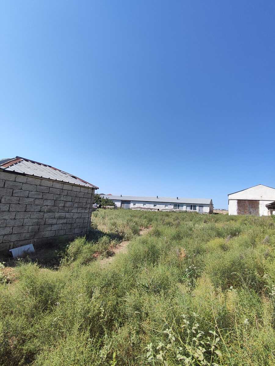 Satılır torpaq 2000 sot — Torpaq, Bakı (6)