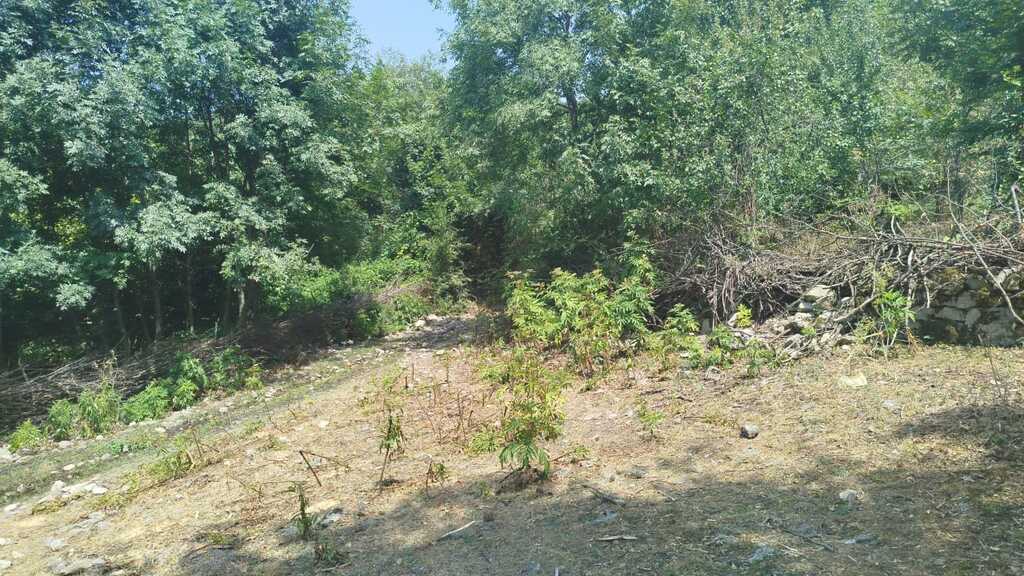 Satılır torpaq 9 sot — Torpaq, İsmayıllı (7)