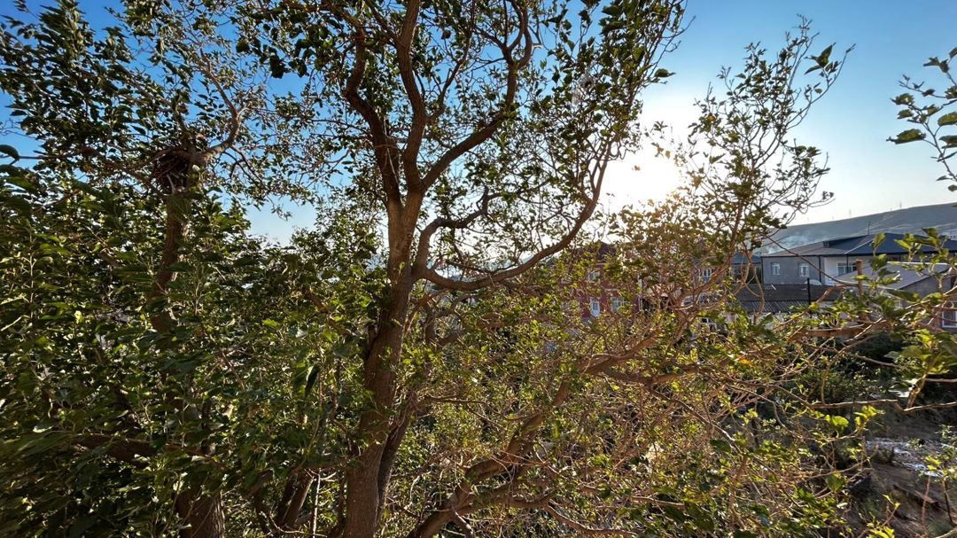 2-otaqlı yeni tikili, S.Orucov küç., 54 m² — Mənzil, Bakı (3)