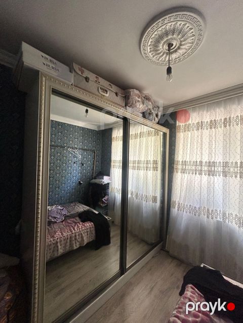 Paltar dolabları, qarderoblar