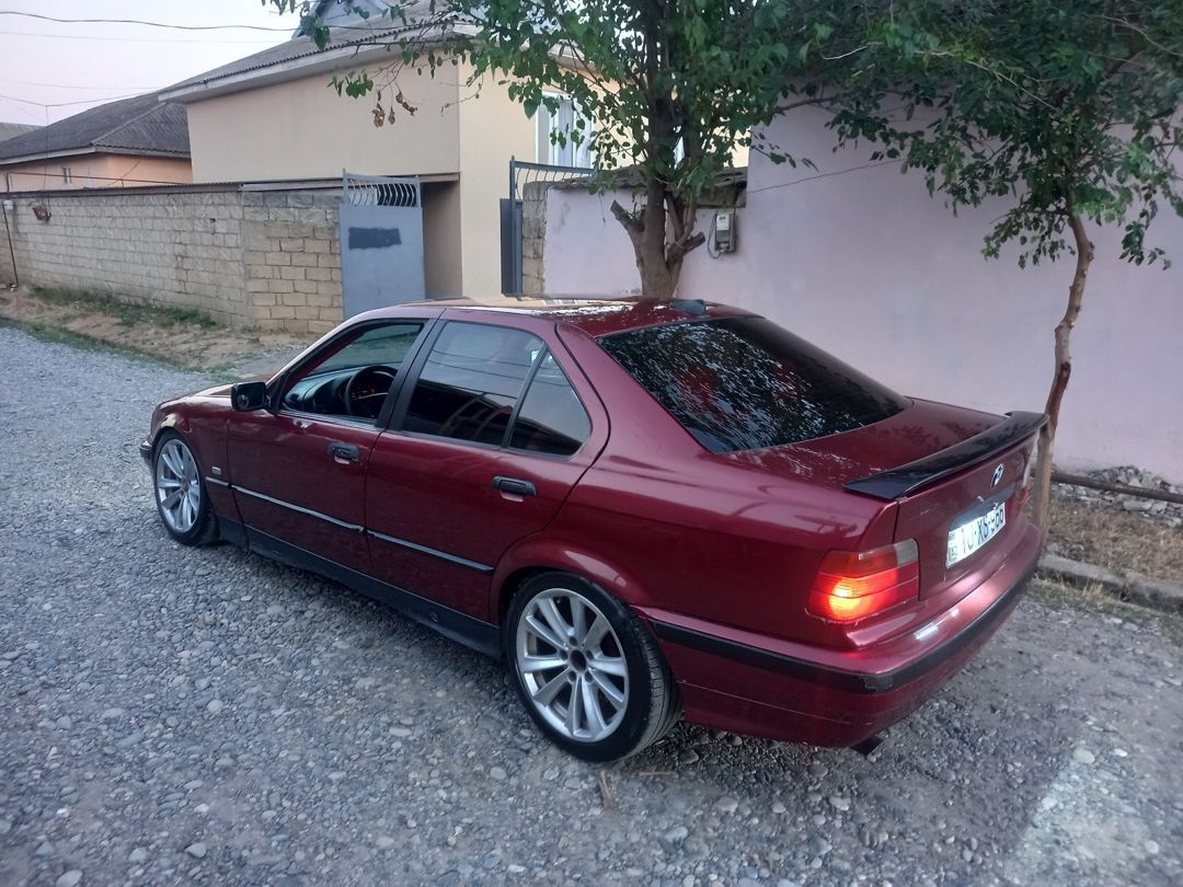BMW 318, 1995 il — Avtomobillər, Biləsuvar (7)