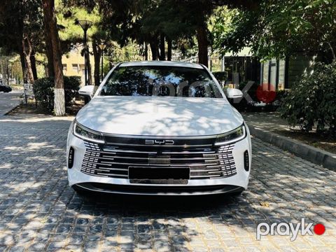 BYD Destroyer 05, 1.5 L, 18.3 kWh, 2025 il, 16 800 km