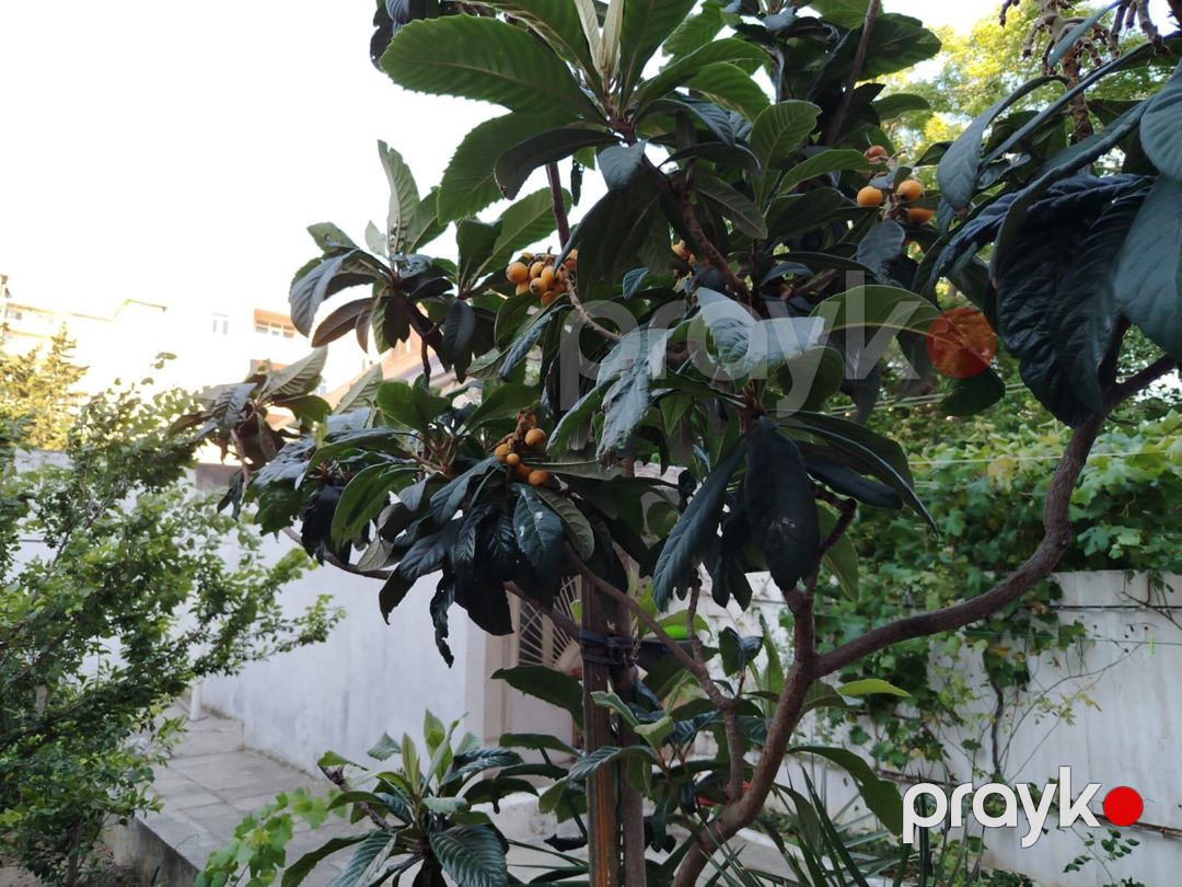 3-otaqlı mənzil, Nizami r., 80 m² — Mənzil, Bakı (8)