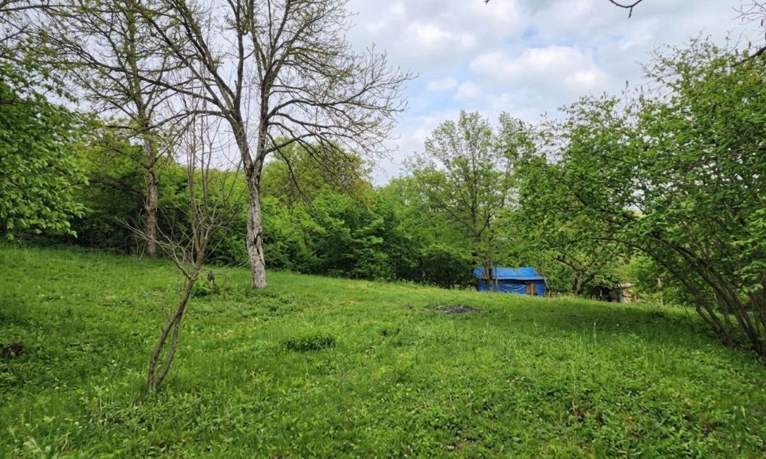 Satılır torpaq 22 sot — Torpaq, İsmayıllı (3)