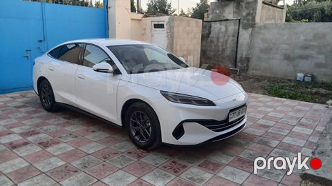 BYD Seal 06, 1.5 L, 10.8 kWh, 2024 il, 52 000 km