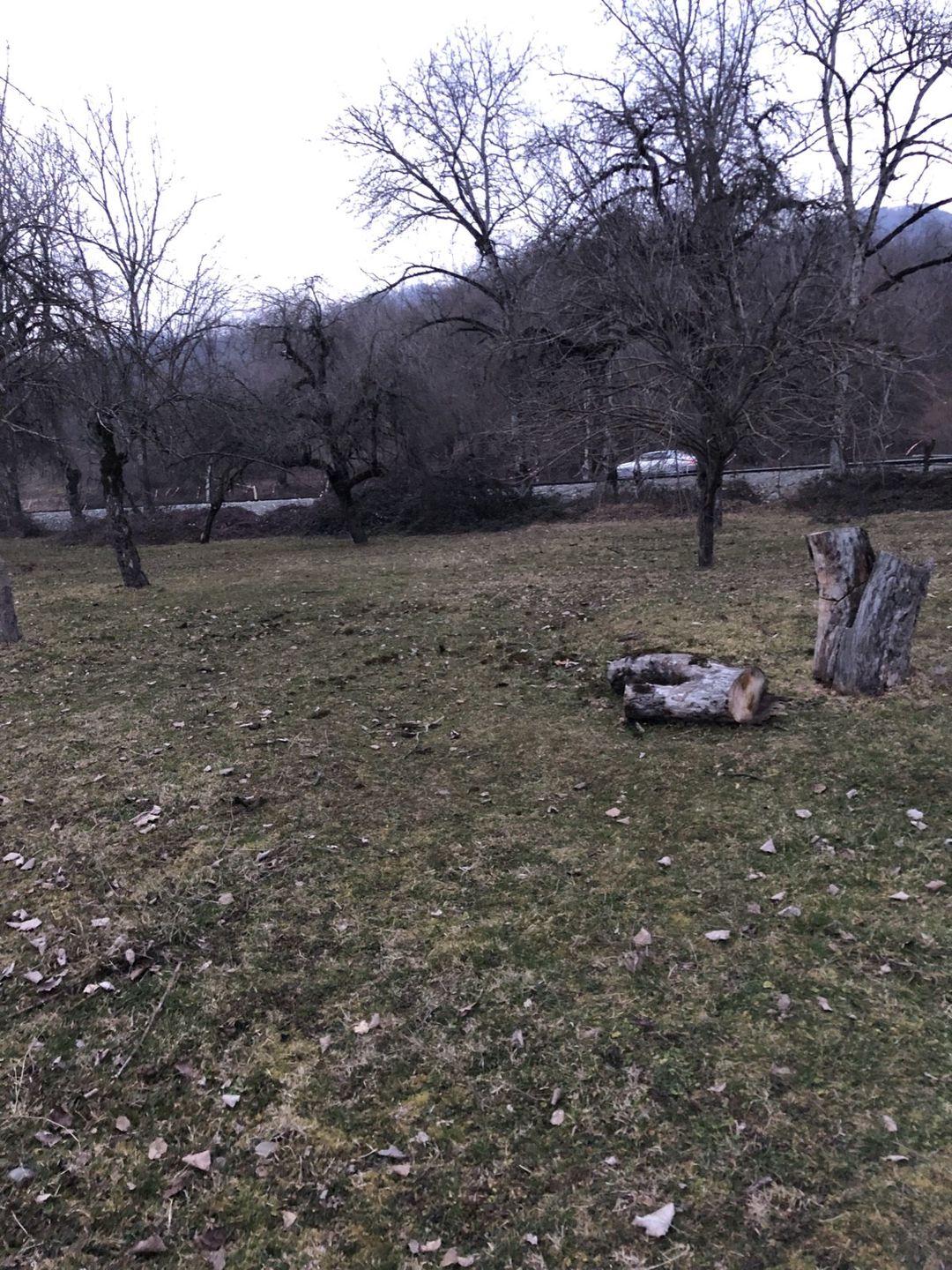 20 sot torpaq sahəsi, Qəbələ ş — Torpaq, Qəbələ (2)