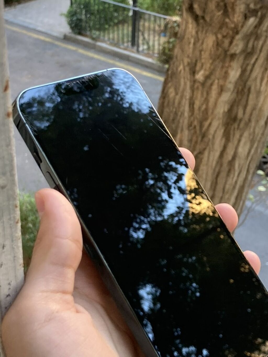 IPhone 13 Pro Max, 128 GB, Yaşıl, Simsiz şarj, Face ID — Apple iPhone, Bakı (2)