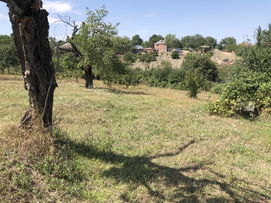 22 sot torpaq sahəsi, Şabran r — Torpaq, Şabran (4)