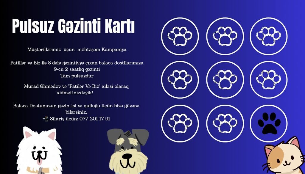 Patillər və Biz – ev heyvanları üçün peşəkar gəzinti və baxım xidməti — Digər, Bakı (3)
