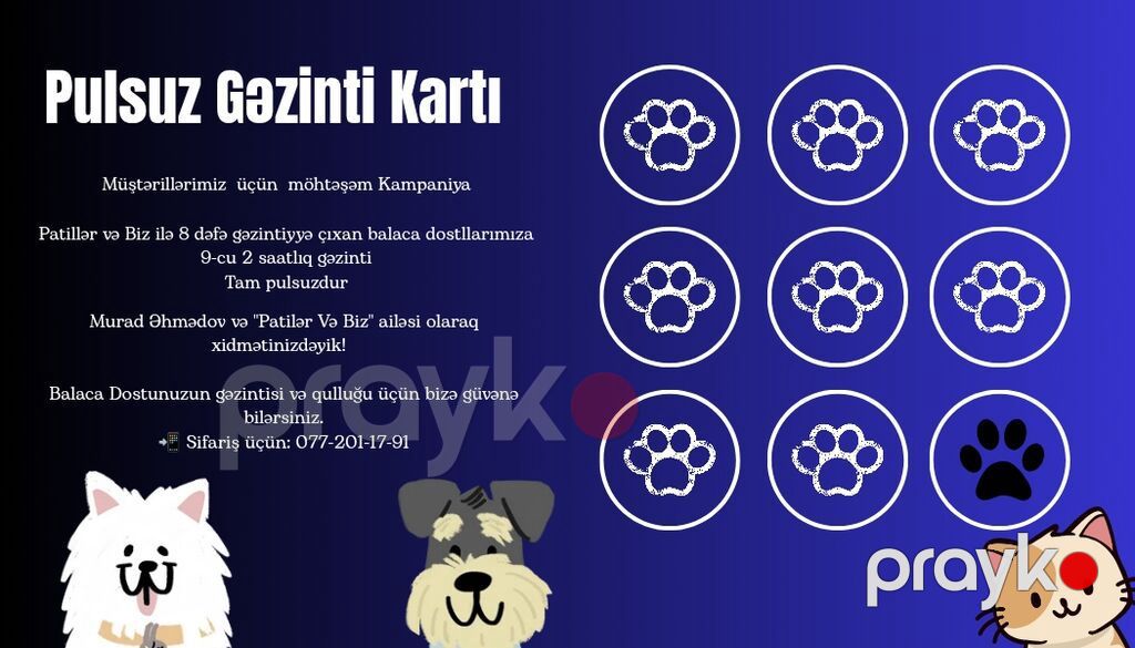 Patillər və Biz – ev heyvanları üçün peşəkar gəzinti və baxım xidməti — Digər, Bakı (3)