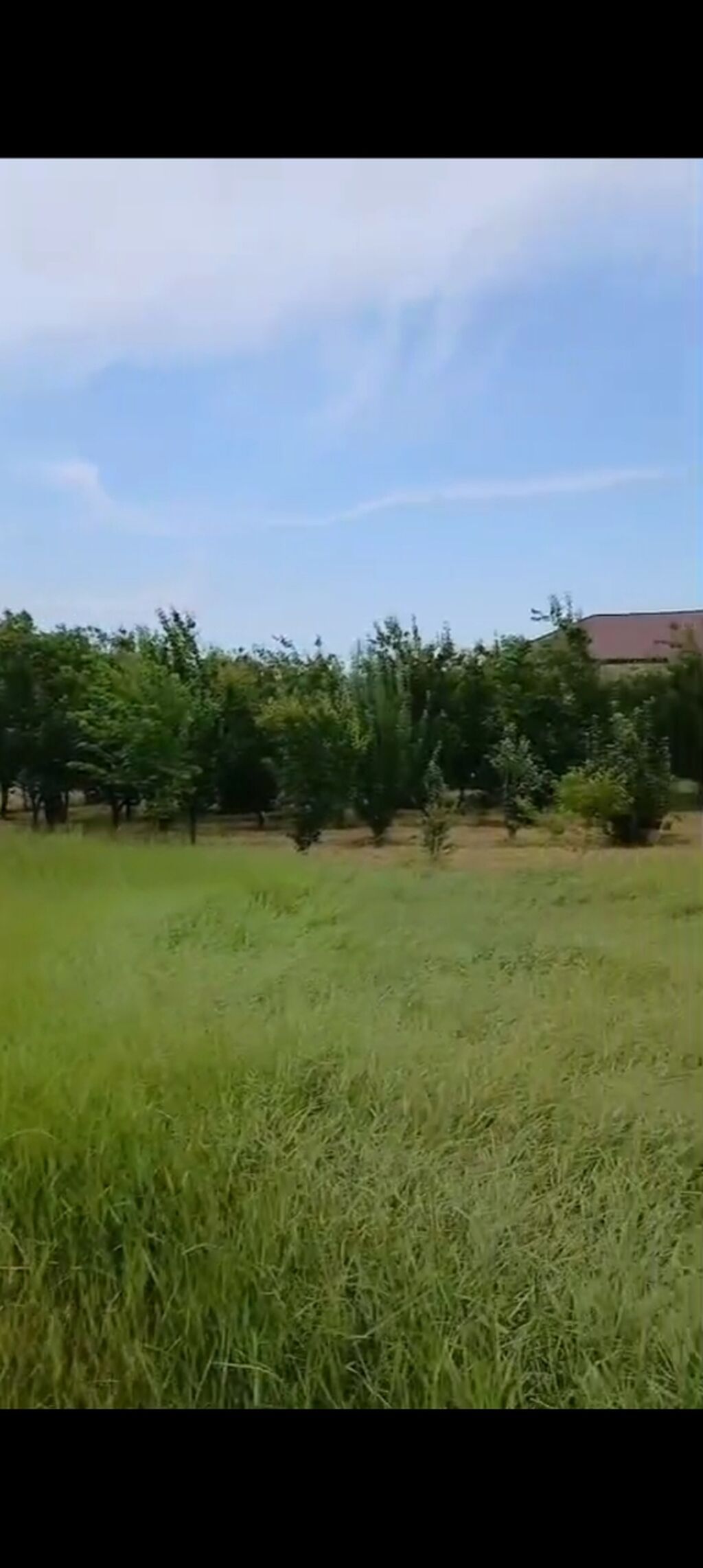 12 sot, Mülkiyyətçi, Kupça (Çıxarış) — Torpaq, Tovuz