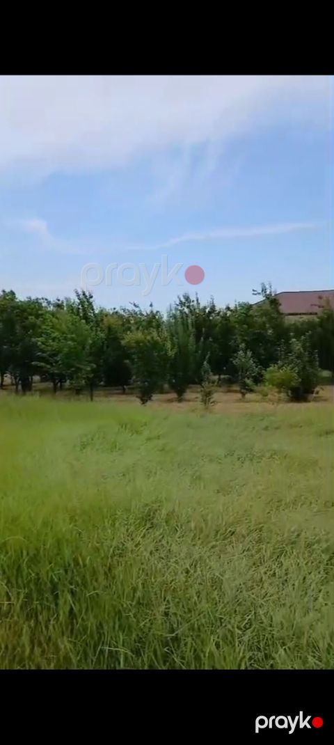 12 sot, Mülkiyyətçi, Kupça (Çıxarış)
