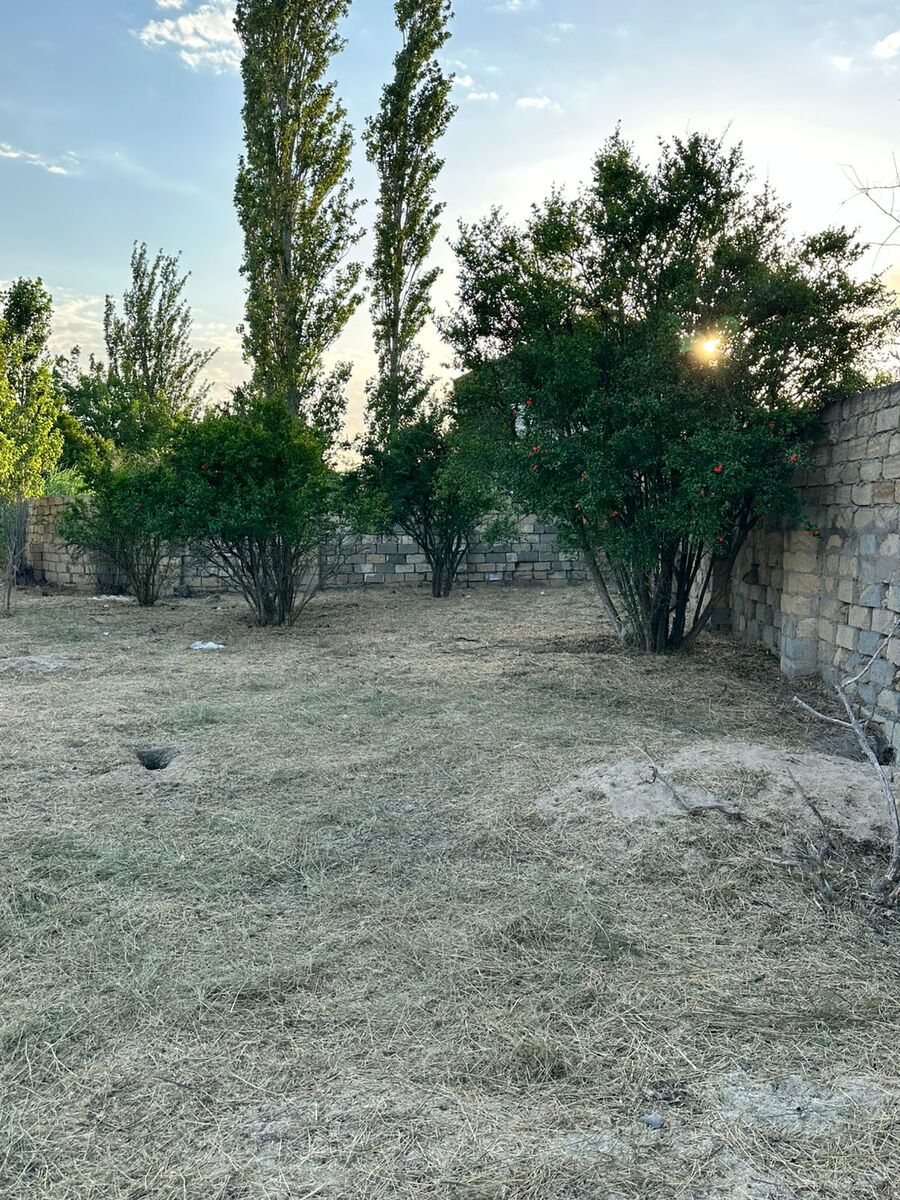 2.5 sot torpaq sahəsi, Novxanı bağları — Torpaq, Bakı (3)