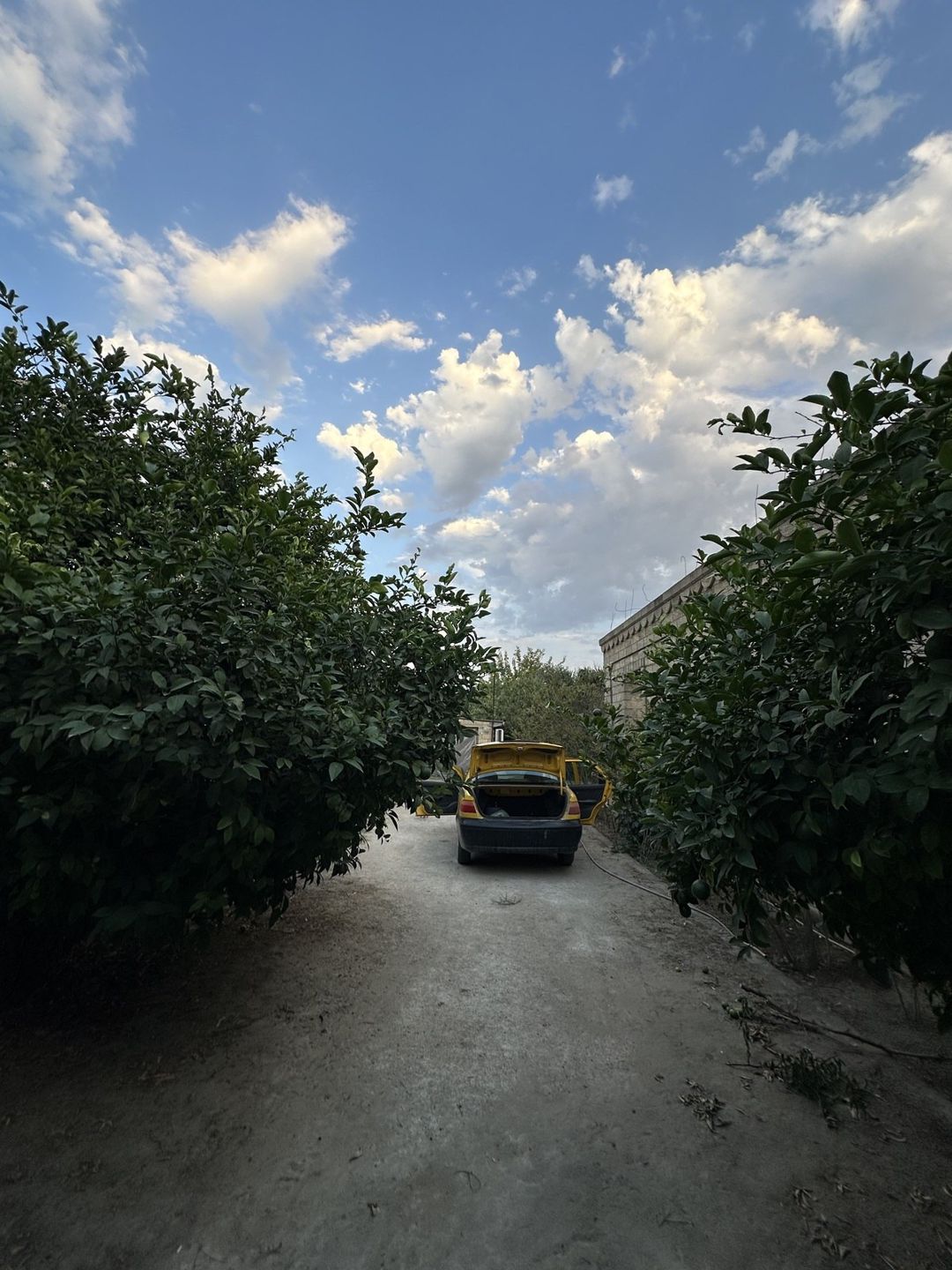 10 sot torpaq sahəsi, Maştağa qəs — Torpaq, Bakı (4)