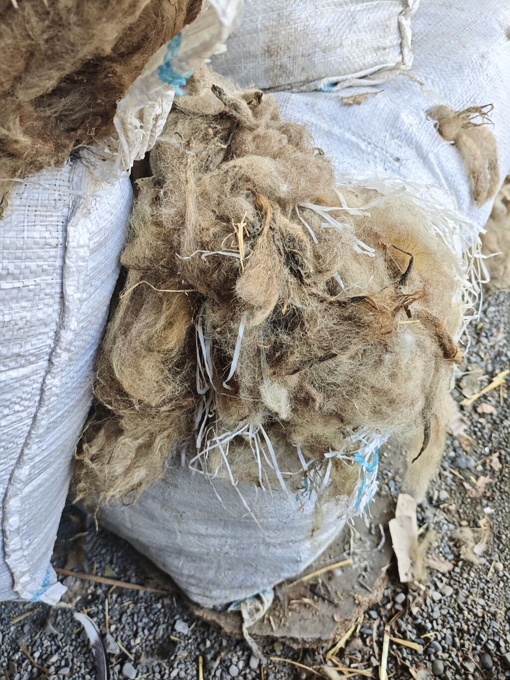 Çirkli yün. 3 manata. Real alıcıya endirim olacaq Məhsul: Təbii qoyun — Digər, Xaçmaz (4)