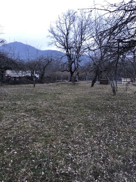 20 sot torpaq sahəsi, Qəbələ ş — Qəbələ