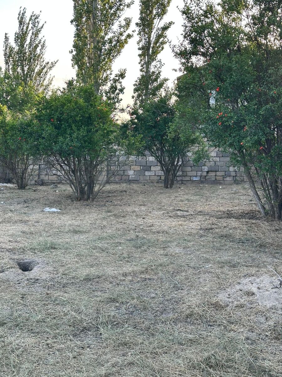2.5 sot torpaq sahəsi, Novxanı bağları — Torpaq, Bakı (4)