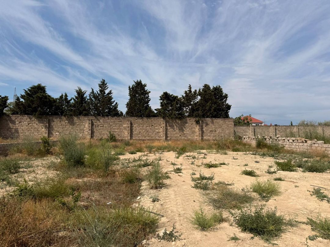 5.5 sot torpaq sahəsi, Şüvəlan qəs — Torpaq, Bakı (5)
