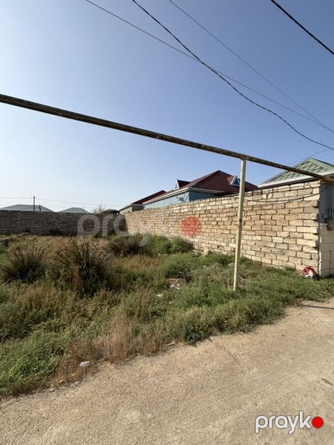 Tikinti