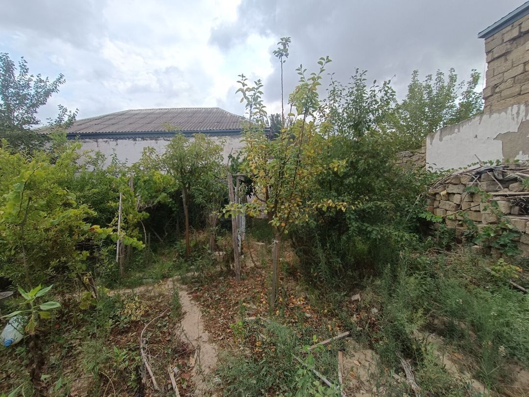 4 sot torpaq sahəsi, Binəqədi r — Torpaq, Bakı (2)