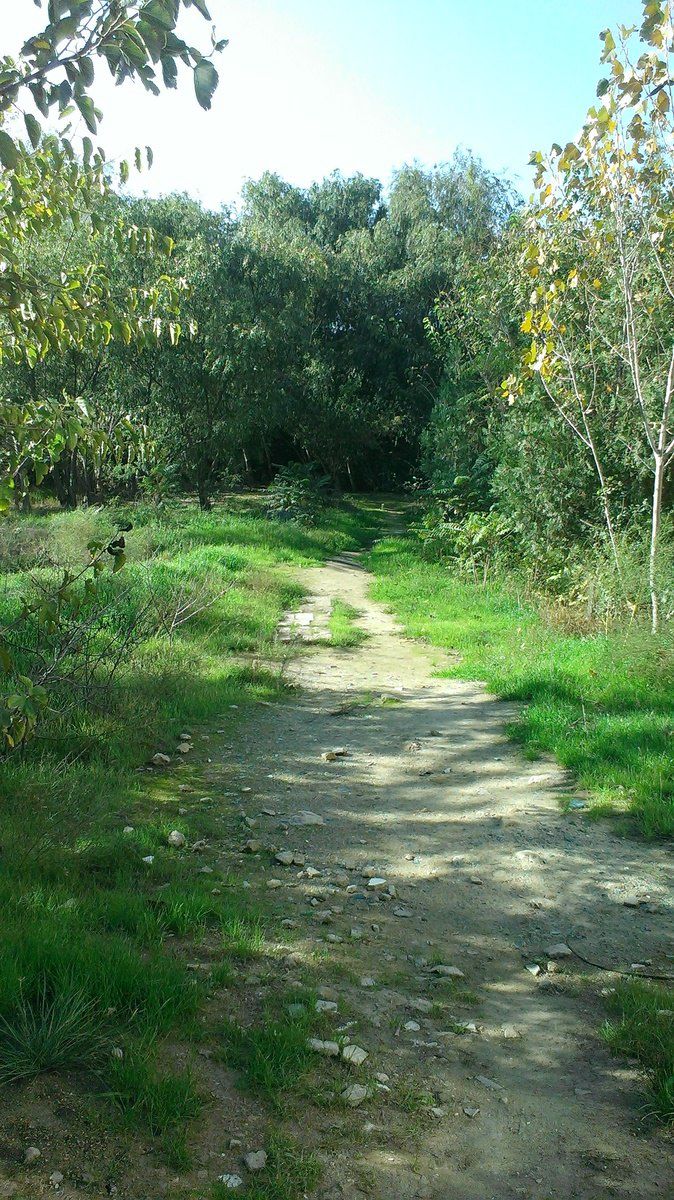 Satılır torpaq 18 sot — Torpaq, Bakı (5)