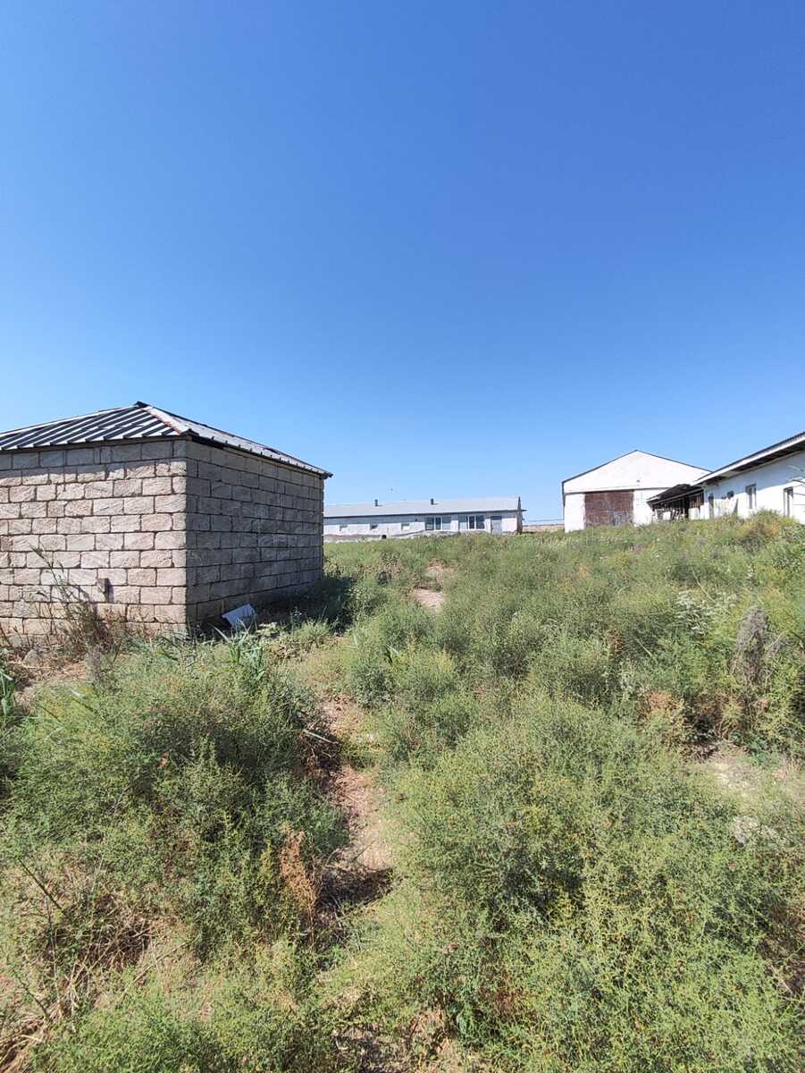 Satılır torpaq 2000 sot — Torpaq, Bakı (4)