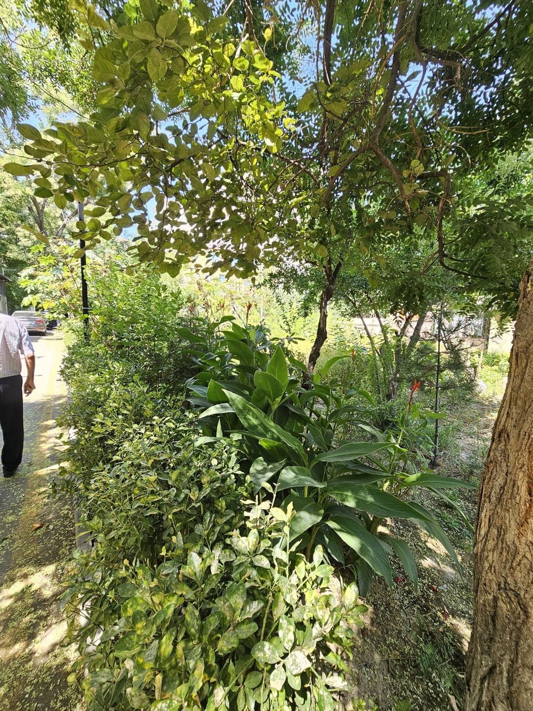 Satılır 3 otaqlı köhnə tikili 75 m² — Mənzil, Bakı (6)