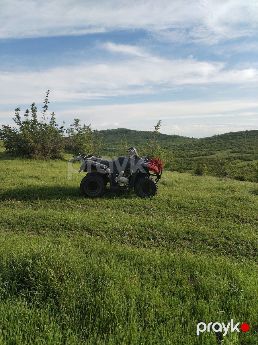 Kvadrosikl 2016 il — Motosiklet və mopedlər, Şəki (7)