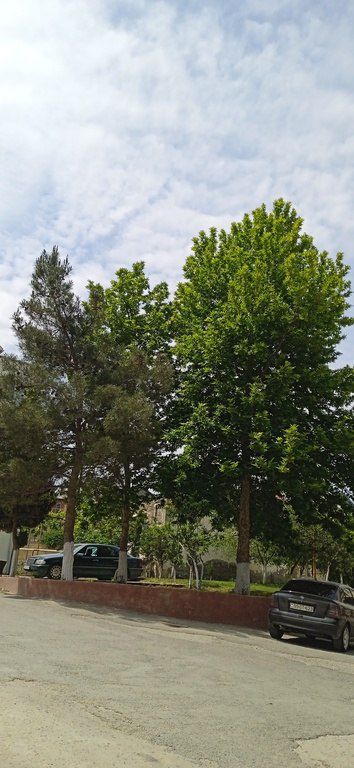 Satılır 3 otaqlı yeni tikili 86 m² — Mənzil, Bakı (12)