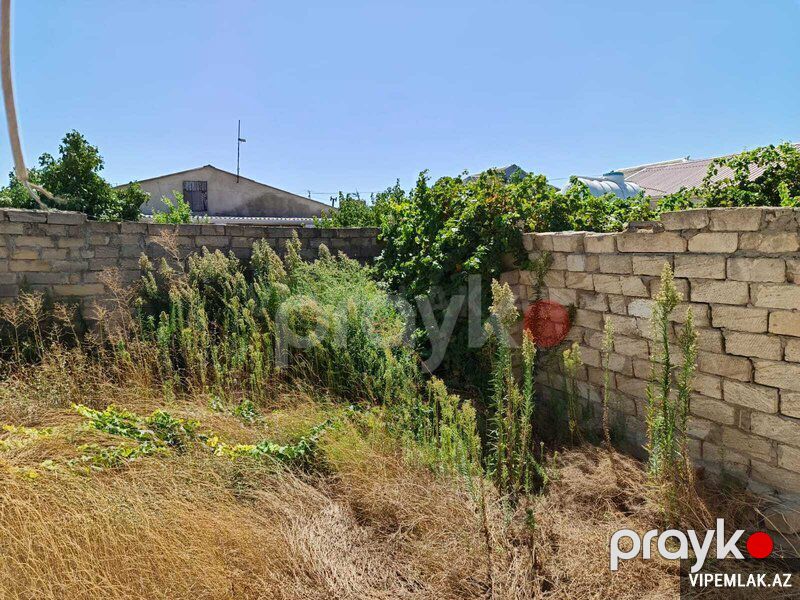 Sabunçu rayonunda 1 otaqlı Həyət evi Satılır, 50 m² — Ev, villa, Bakı (3)