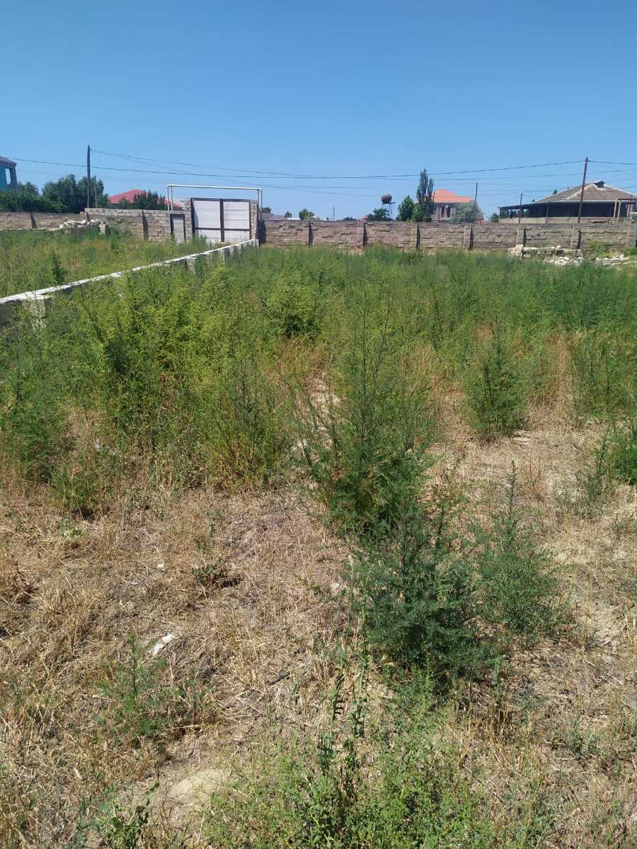 Satılır torpaq 12 sot — Torpaq, Bakı