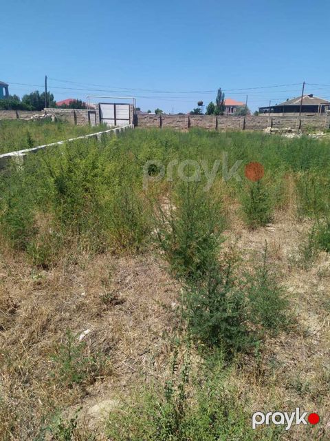 Satılır torpaq 12 sot