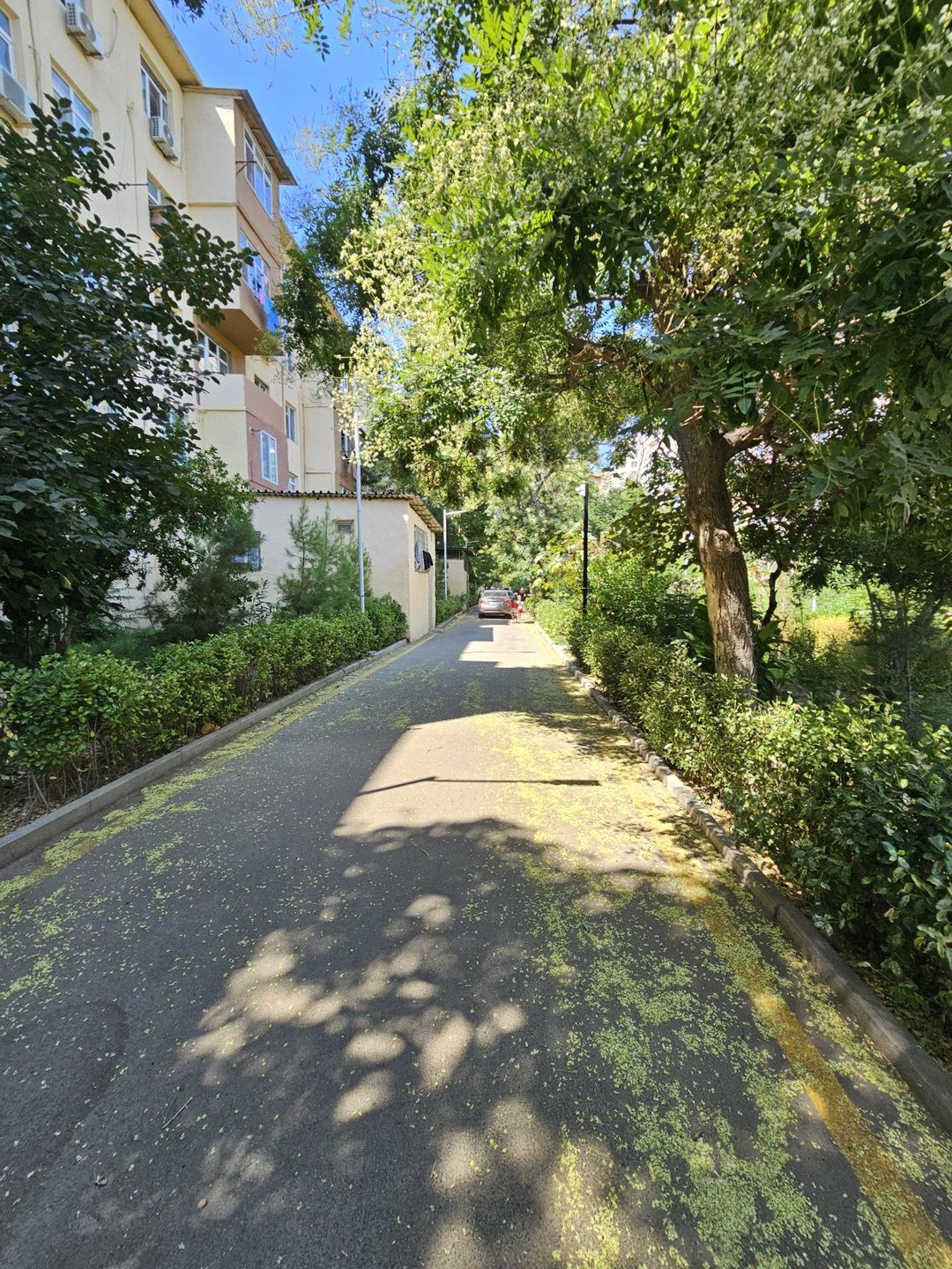 Satılır 3 otaqlı köhnə tikili 75 m² — Mənzil, Bakı (8)