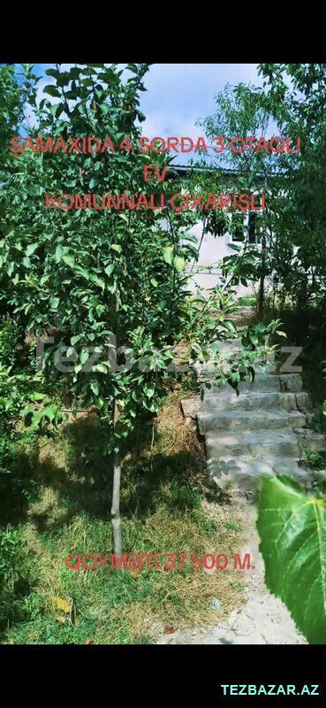 Ev satlır — Ev, villa, Şamaxı (3)