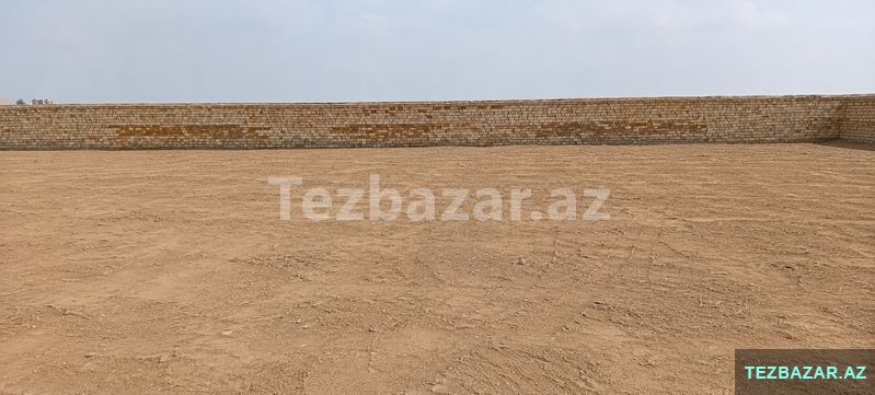 Nardaran bağları — Torpaq, Bakı (4)