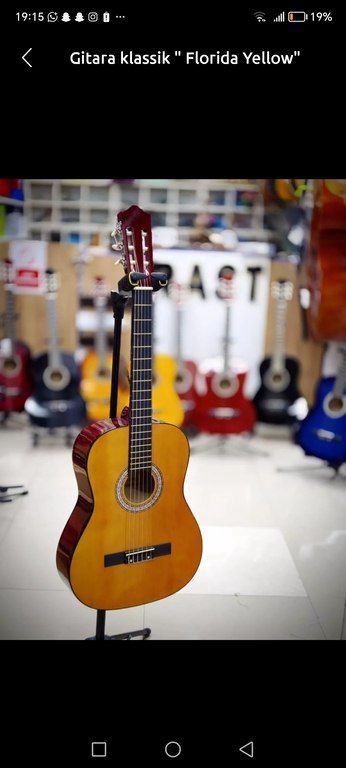 Klassik gitaralar "Florida models C39" — Musiqiə alətləri, Bakı (6)