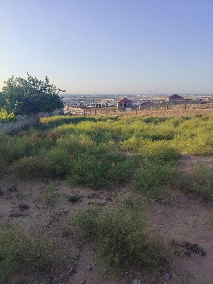 Satılır torpaq 8 sot — Torpaq, Bakı (2)