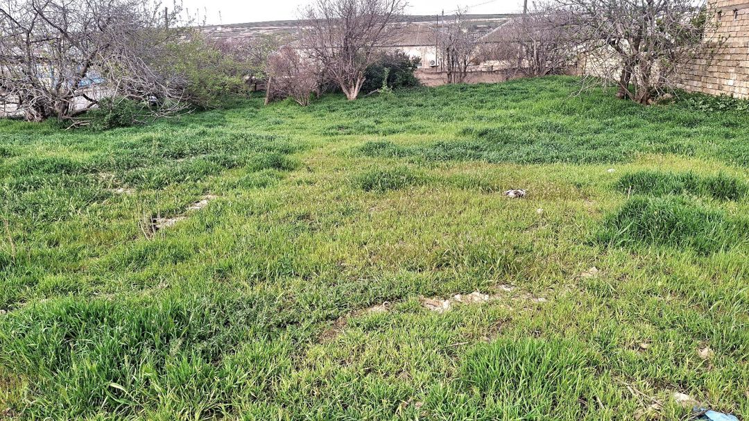 13 sot torpaq sahəsi, Digah qəs — Torpaq, Bakı (9)