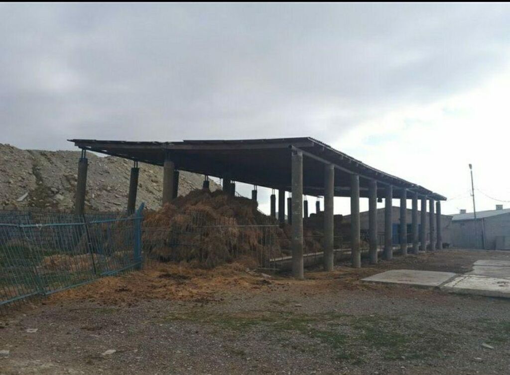 Satışa geniş həyətyanı sahəyə malik təsərrüfat tipli obyekt təqdim — Əmlak, Zərdab (6)