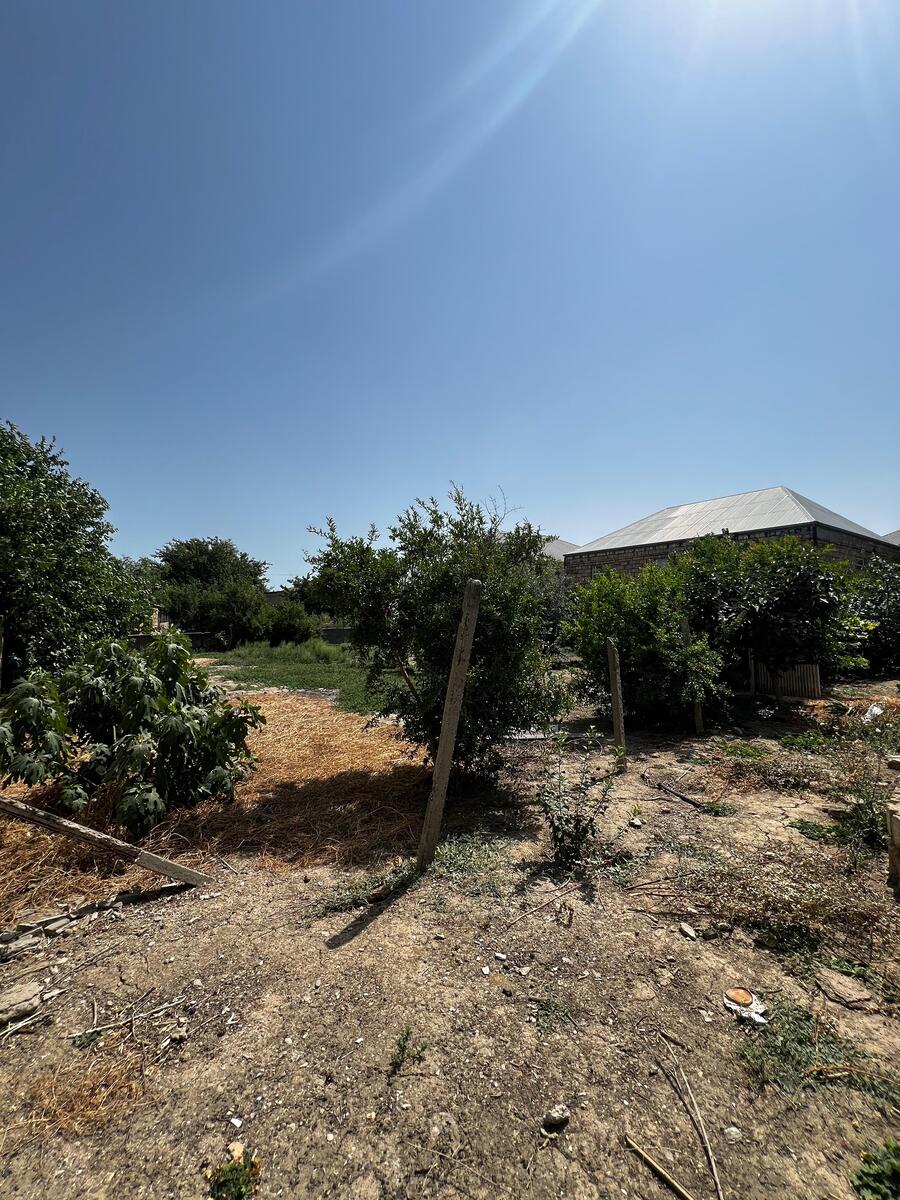 Satılır torpaq 5 sot — Torpaq, Bakı (4)