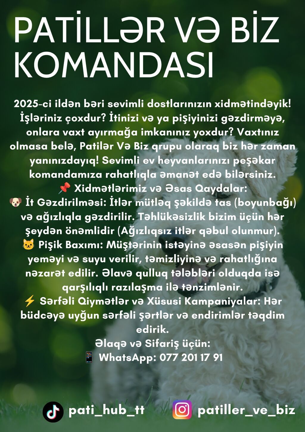 Patillər və Biz – ev heyvanları üçün peşəkar gəzinti və baxım xidməti — Digər, Bakı