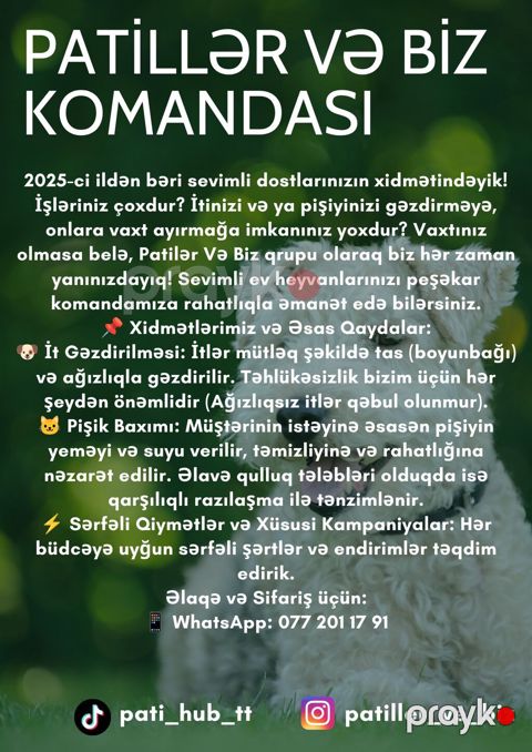 Patillər və Biz – ev heyvanları üçün peşəkar gəzinti və baxım xidməti — Bakı