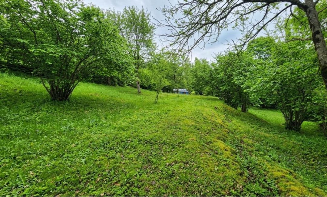 Satılır torpaq 22 sot — Torpaq, İsmayıllı (2)