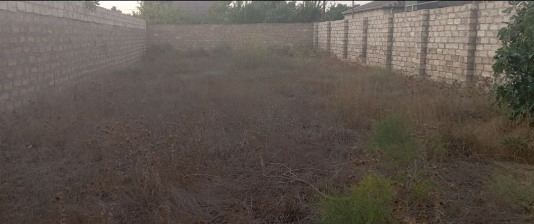 Satılır torpaq 3 sot — Torpaq, Bakı (2)