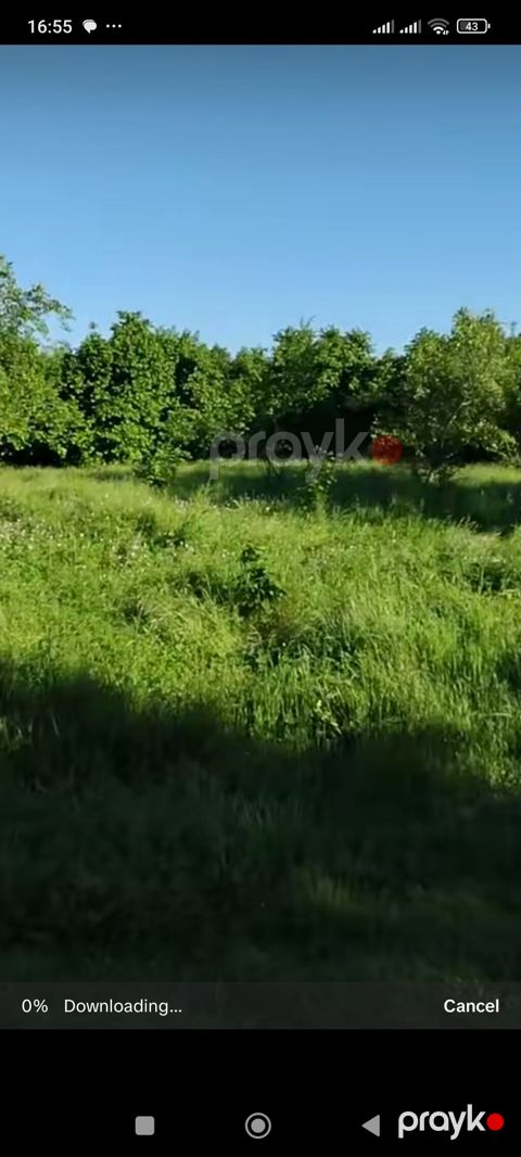 40 sot, Biznes üçün, Barter mümkündür, Kupça (Çıxarış), Bələdiyyə, Texniki pasport