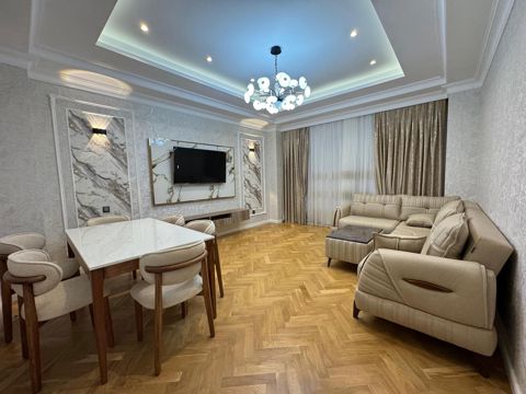 İcarəyə verilir 2 otaqlı yeni tikili 90 m² — Bakı