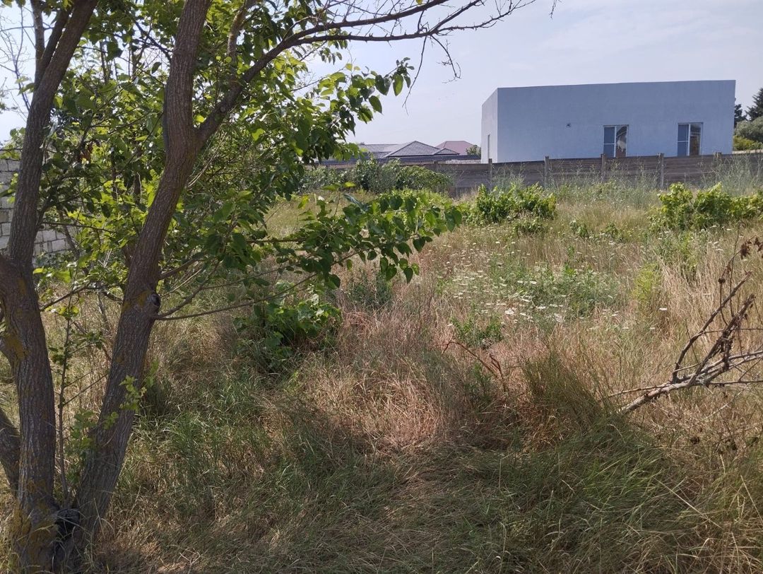 Satılır torpaq 6 sot — Torpaq, Bakı (5)